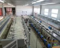 Доильный зал для овец и коз Milkline